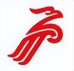全国新航空公司logo，你觉得哪个更好？