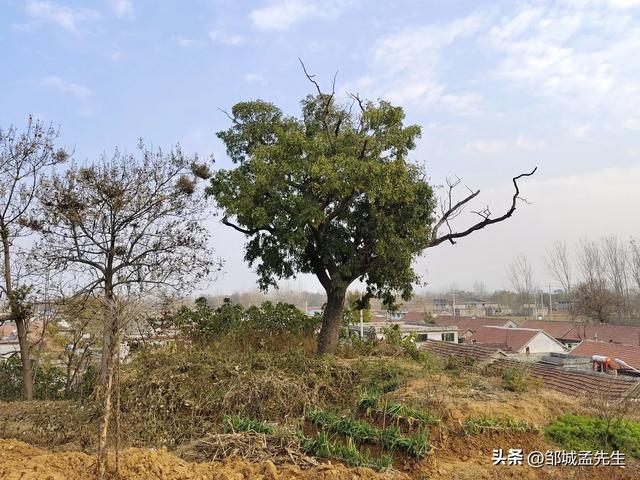 山东曲阜这个地方村庄不简单，村中竟有这么多古迹。