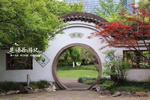浙江宁波的古典园林式公园，毗邻火车站却被人忽略，景色相当秀丽