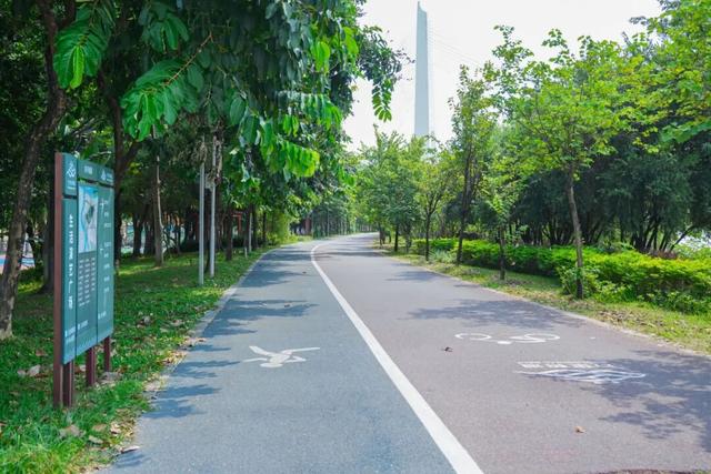 逛完你的逛你的，桂城公园真的逛不完！免费畅玩→