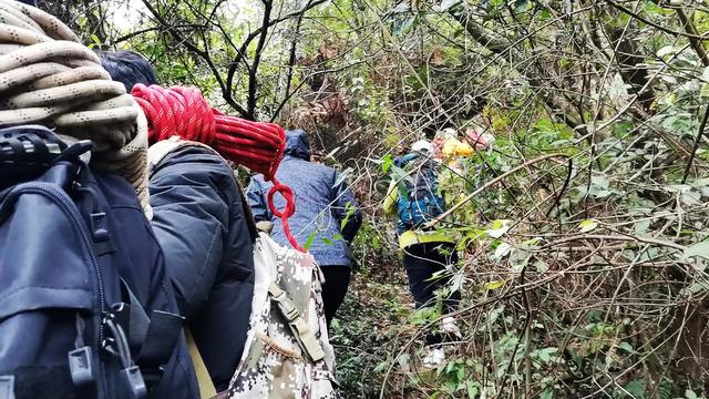白鹤湾村与太子岭古道：一段镌刻历史与自然的千年传奇