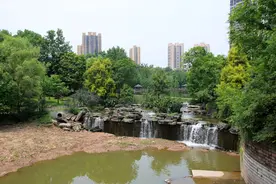 璧山观音塘：重庆最大的城市湿地公园图片