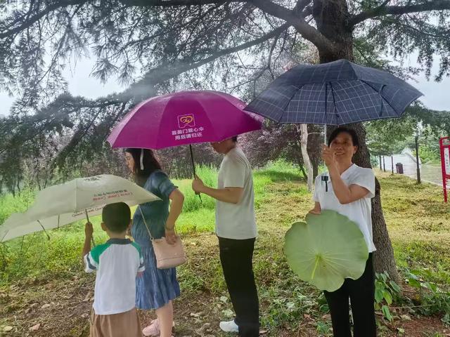 雨中游汝南和母校（作者：朱树理）