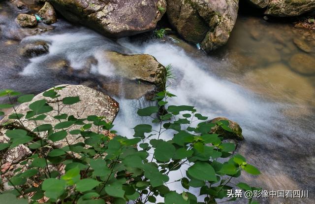 广东信宜：天马山引客来