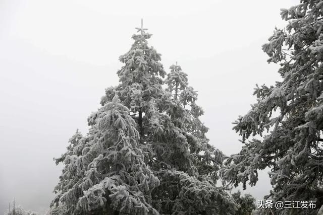 绝美！三江大塘坳惊现“琉璃仙境”！