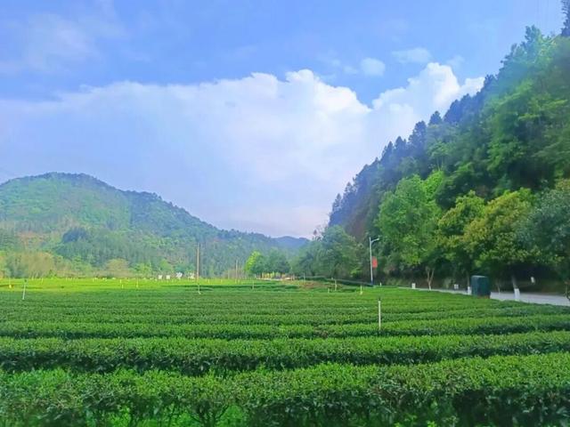 【山海协作】中秋国庆武平乡村游攻略，请查收~