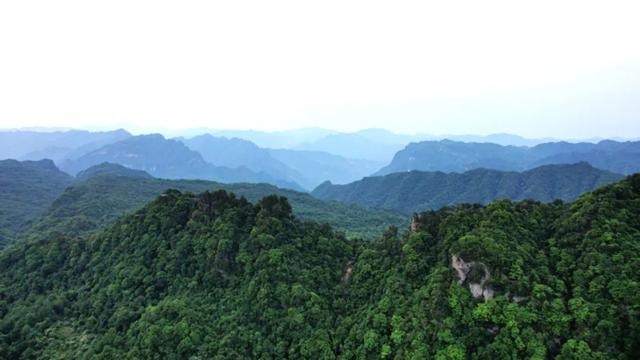 避暑胜地新宠！宁强草川子康养景区开放→