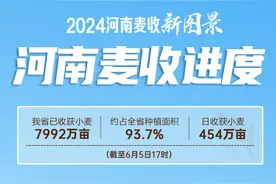 截至6月5日17时，河南已收获小麦7992万亩图片