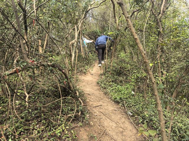 南京幕府山郊野徒步