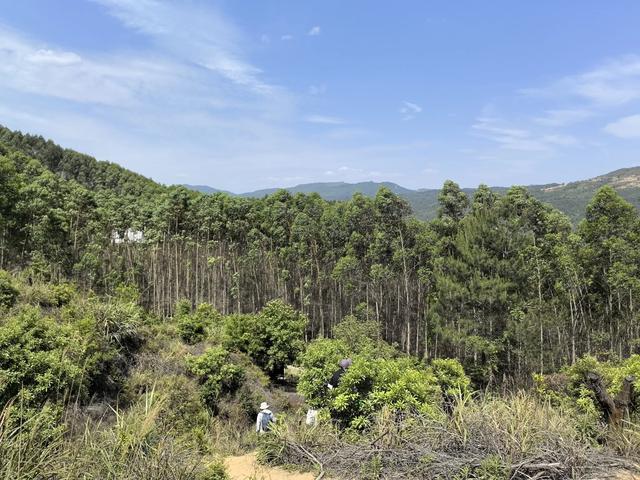 带小朋友去贵州茂兰,连环探洞加漏斗原始森林徒步二日游全攻略!