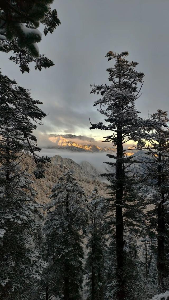 四川人盼初雪的心情谁懂！