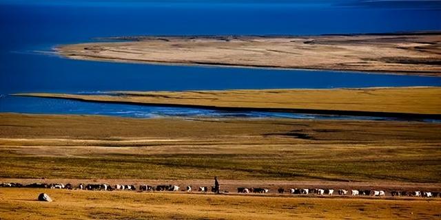 沙漠与湖泊相拥！西藏这片五彩沙丘美到犯规