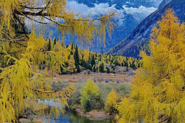 怦然心动！是四姑娘山的秋啊！