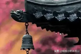 当代年轻人为何纷纷踏入了寺庙？图片