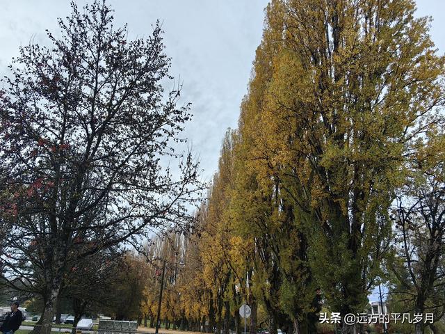 温哥华游记（五）