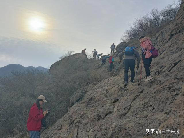 无为在歧路，冬日鹤伴山