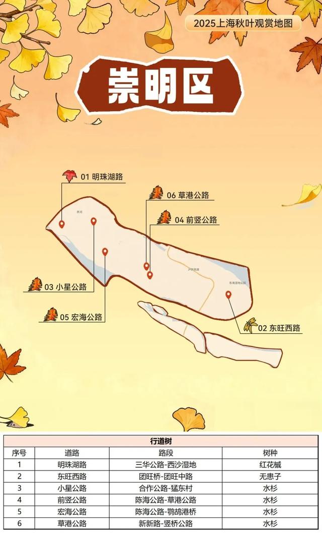 2025上海秋叶地图出炉，徐汇这些点位不可错过！