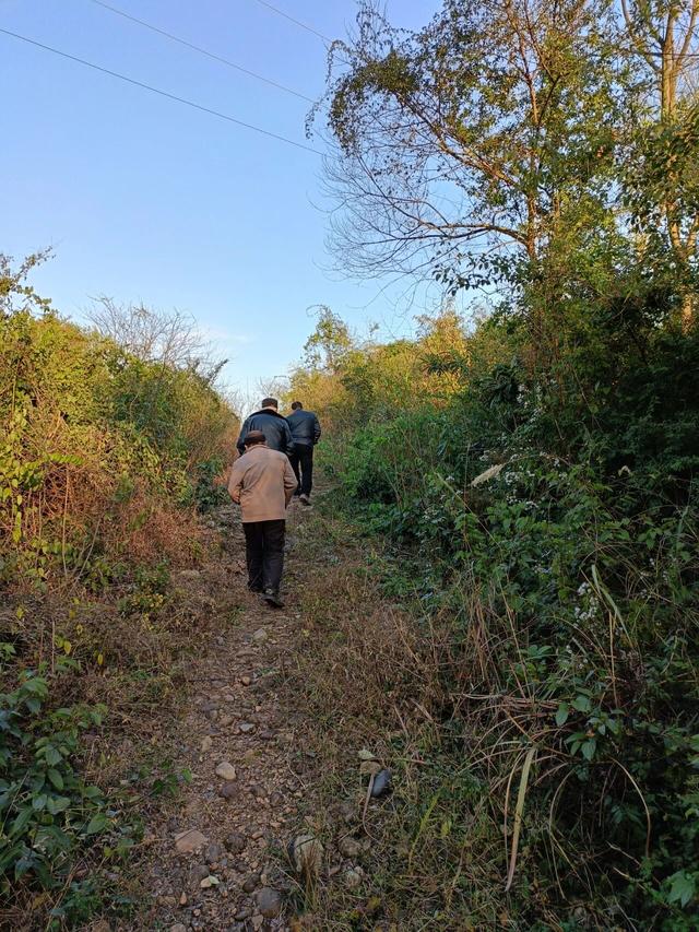红七军走过的路：从全州龙水桥渡到全州镇大喜塘与枫木山走过的路