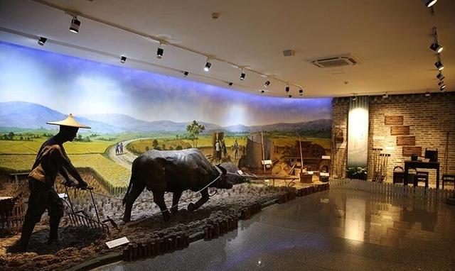 秋假来了！佛山这些特色场馆，带娃走起