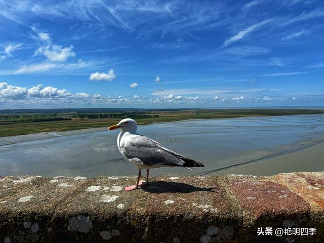欧游杂记（10）‖ 自驾从巴黎去圣米歇尔山，遇见那份超然物外的美