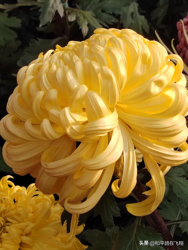 开封万岁山武侠城之约