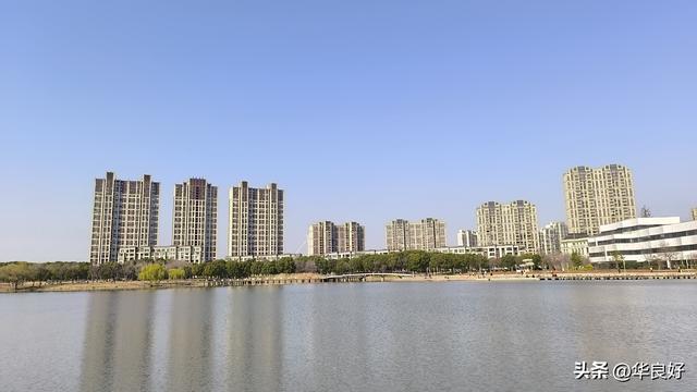 春暖花先知，早樱花成云