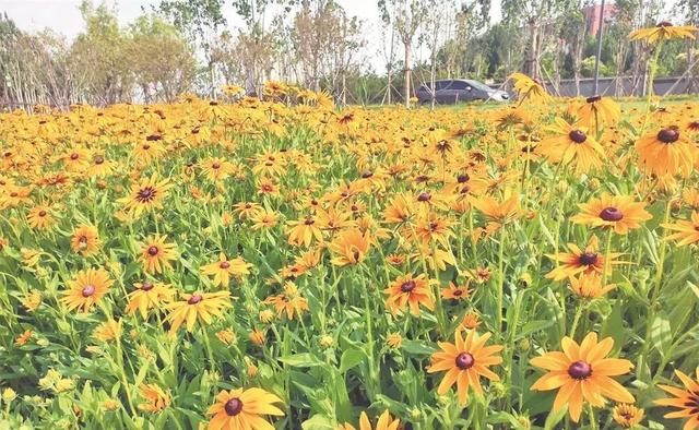 运城市中心藏了一片“海”!走,带你去看治愈系沙滩
