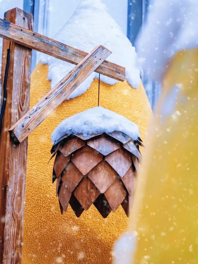 重庆人注意！这些地方将迎今冬“第一场雪”