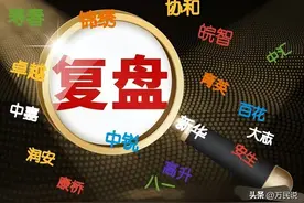 每4个高中生就有1个在民办就读！复盘2024合肥各民办高中招生结果图片