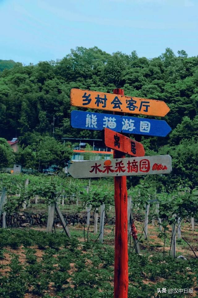 西安向南45分钟!来宝藏小城佛坪一起撸熊猫、溯溪、看云、露营
