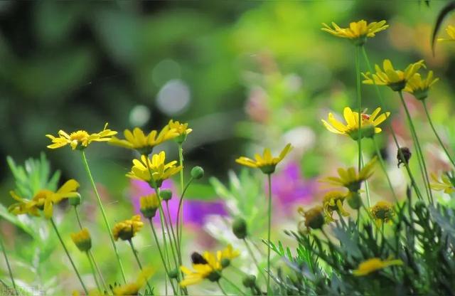 别让才艺班吞噬童年！这2个根基才是孩子一生的铠甲