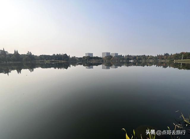 成都城市中的草原牧场，彩林比阿勒泰还美，公交车地铁直达！