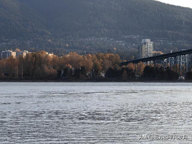 温哥华游记（四）