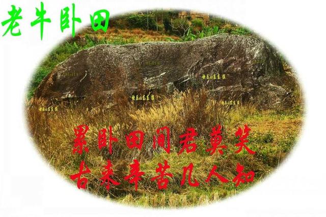 平远古丁村的2块千年神石——老牛卧田和神牛耕田