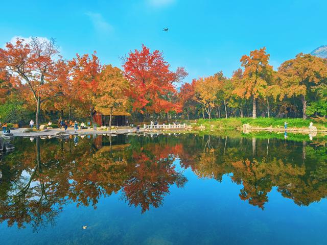 又见天平山：一叶知秋，一枫醉心