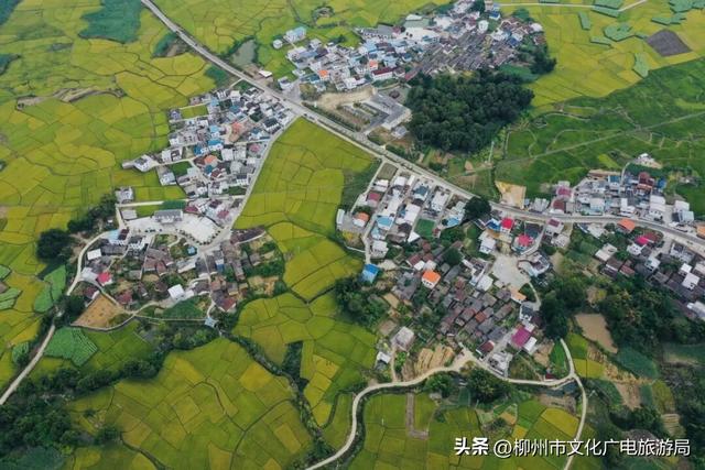 柳州市第八届文化旅游产业发展大会将在柳城县举行