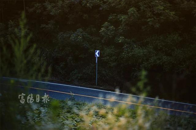 绝了！富阳这条公路，颜值爆表！是时候出动了！