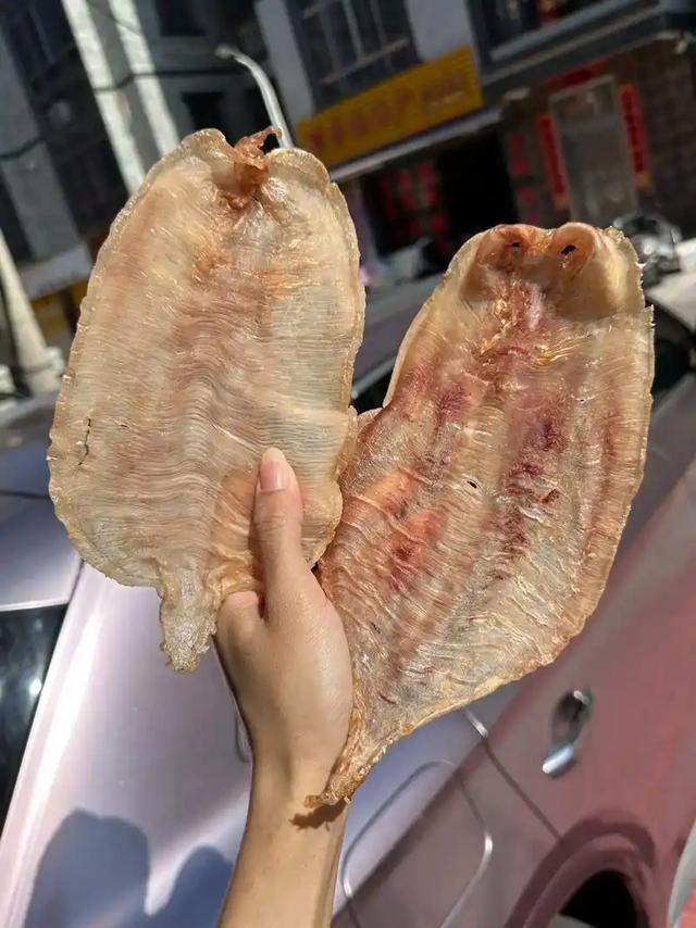 长长一条花胶 2025年一条花胶大约有多少克 长长一条花胶 2025年一条花胶大约有多少克