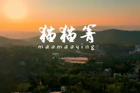 徒步猫猫箐，见山见自己图片