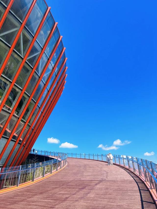 成都秋游宝藏地,周末徒步遛娃看彩林,人少景美还免费,冲鸭!