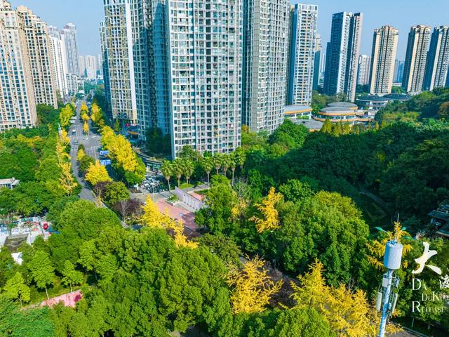 大渡口这里开启“美颜模式”,打卡要趁早~