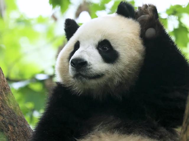 一路向北 畅享龙江山水清欢
