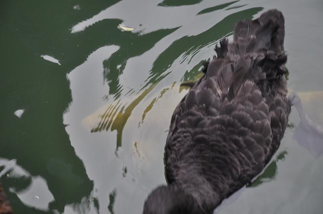 文化寻根 源远流长 拍摄张德富