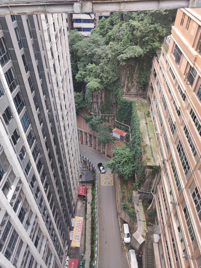 重庆这座城市，把我的腿走细了，把我的胃撑大了