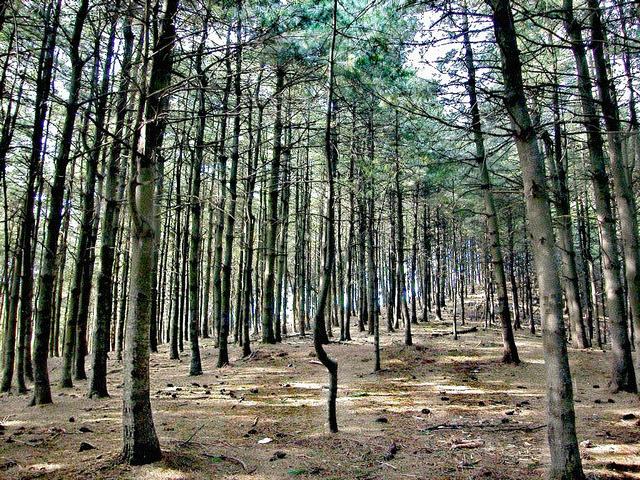 湖北宜昌：迷人的的百里荒大草原，这些发现，是锦上之花