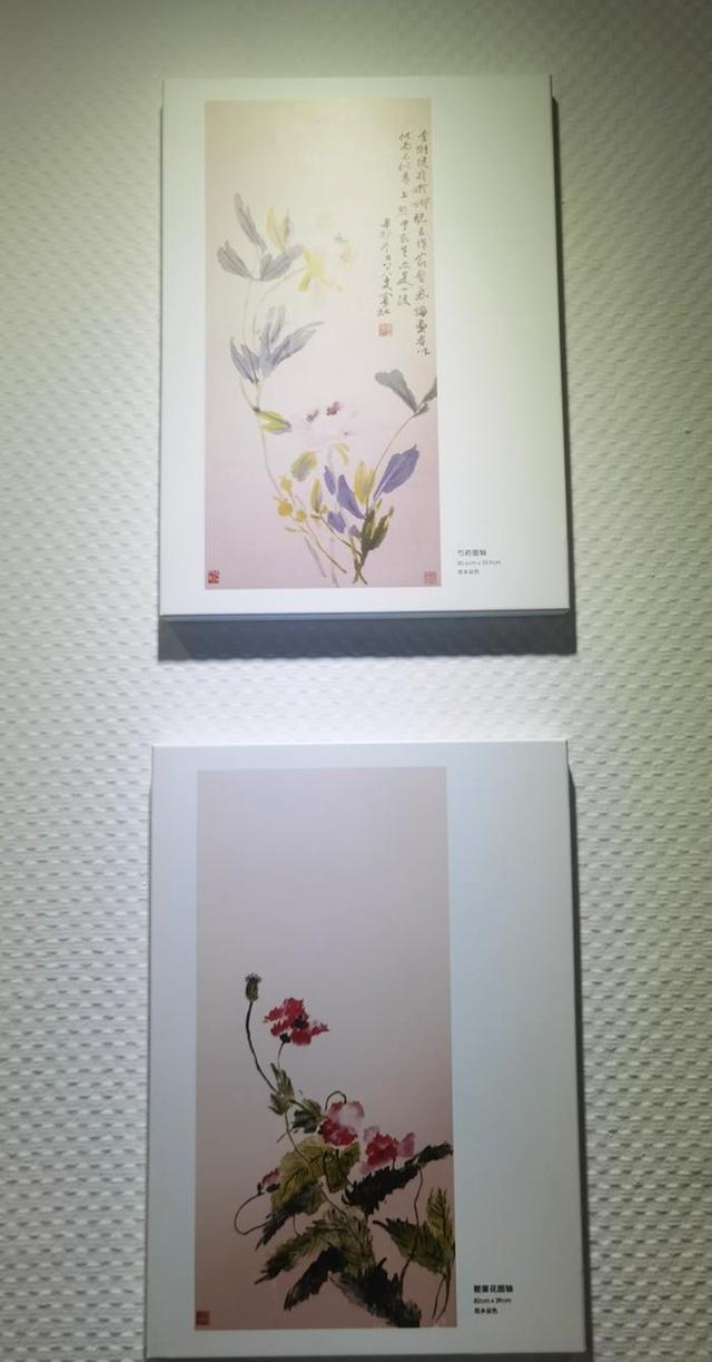 游安徽屯溪老街和徽州古城