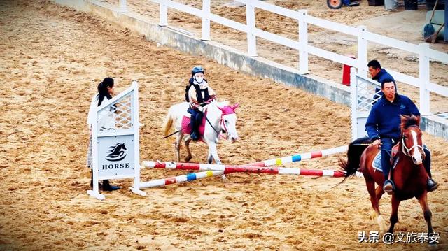 -10°C也拦不住！被窝里哪有马背上潇洒？小泰成功解锁泰安冬季最野玩法！