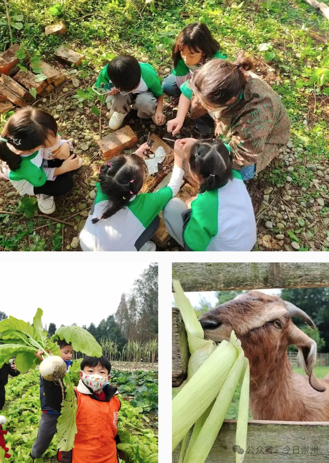秋假去哪？崇州这些亲子游宝藏地不容错过