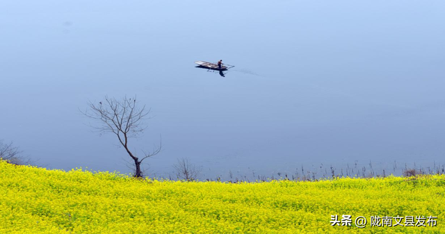 过年去哪儿？陇南！邂逅甘肃最早的金色春天
