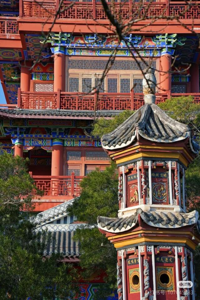 比西昌人少，比昆明更近！高铁直达20℃小众春城，赏花摘果泡温泉！3元草莓吃到撑~